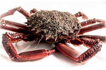 Comer marisco y pescados frescos en Avilés - Casa Lin